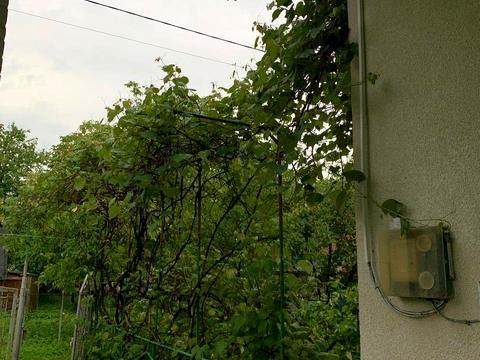 дом по адресу вербова