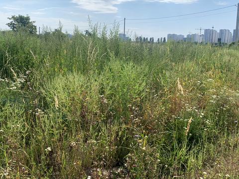 ділянка за адресою Медова вул., 232