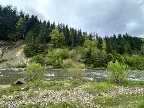 ділянка за адресою Курортна вул., 17