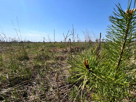 участок по адресу 