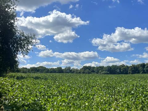 ділянка за адресою Шкільна