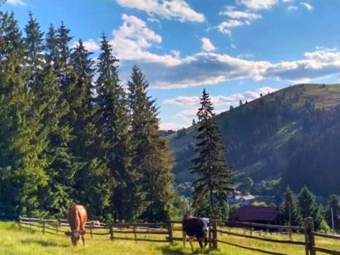 дом по адресу урочище Село