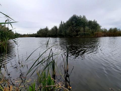 дом по адресу Провулок Дворовий