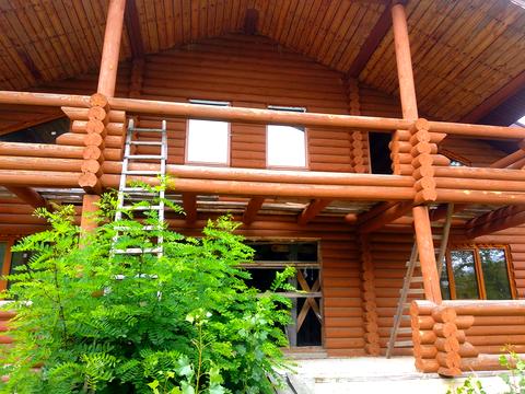 ділянка за адресою с. Нові Соколи, Романівка