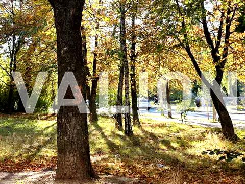 квартира по адресу Литвиненко-Вольгемут ул., 1-Б