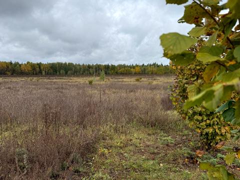 участок по адресу 