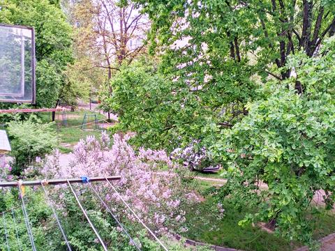 квартира за адресою Льотна вул. (Червоногвардійська), 29