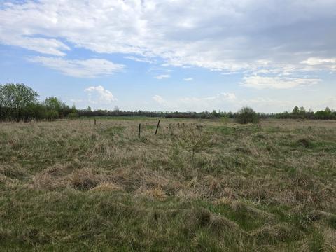 ділянка за адресою Вільська