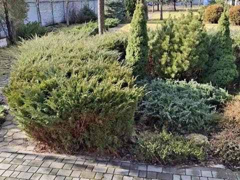 дом по адресу с. Новоалександровка, Садова