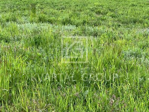 участок по адресу шевченка