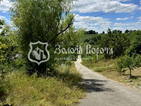ділянка за адресою Капустяна, 1