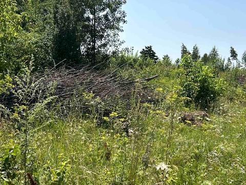 участок по адресу с. Стуфчинцы, Платонівська