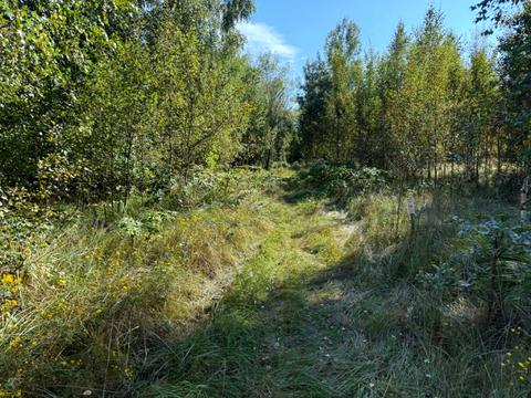 участок по адресу Лесі Українки
