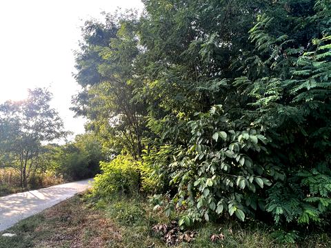 ділянка за адресою 