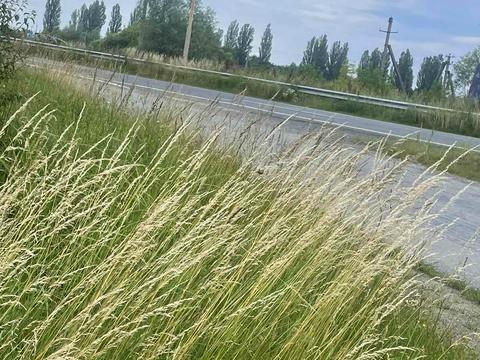 ділянка за адресою Европейська