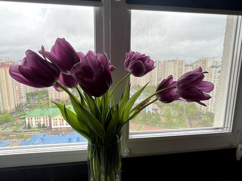 квартира за адресою Урлівська вул., 23-Г