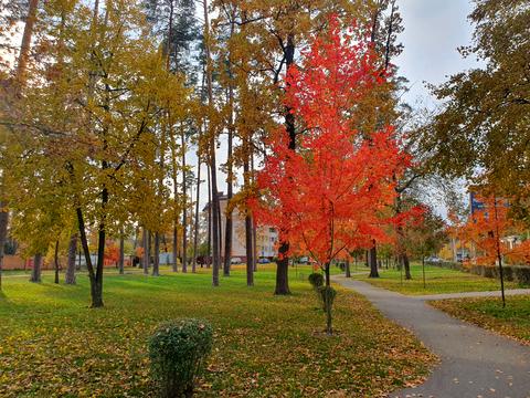 ділянка за адресою Мрії вул.