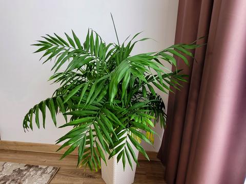 квартира по адресу Бельведерская ул., 30