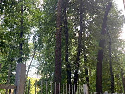 квартира за адресою Берестейський просп. (Перемоги), 42