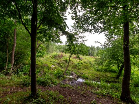 ділянка за адресою Пироговська вул.