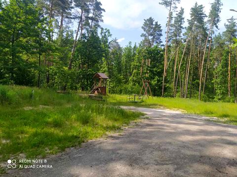 участок по адресу Соснова, 77