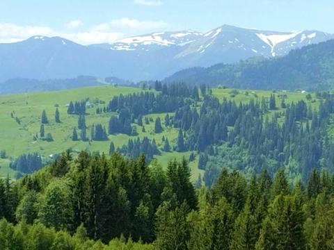 участок по адресу пгт. Верховина, 