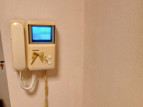 квартира за адресою Раїси Окіпної вул., 4