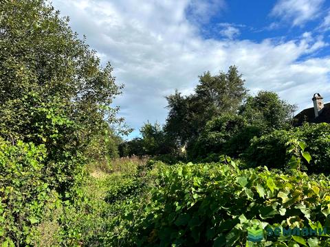 ділянка за адресою 