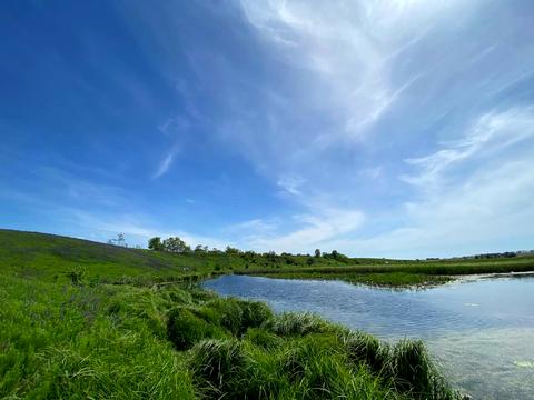 дом по адресу мичурина