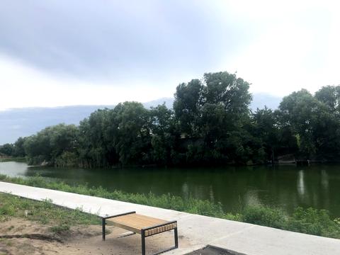 дом по адресу с. Вишенки, Лесі Українки