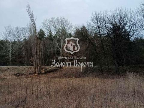 участок по адресу Рудяківська, 50