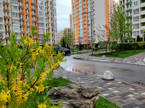 квартира по адресу Олеся Бердника ул., 1-Г