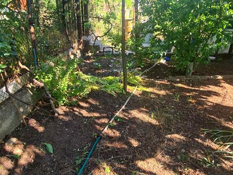 дом по адресу Хвойна, 329