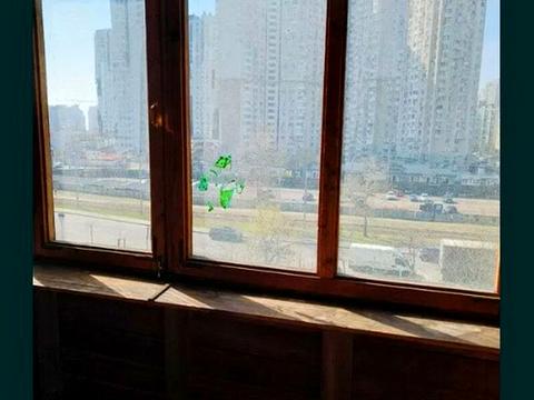 квартира по адресу Петра Григоренко просп., 33/44