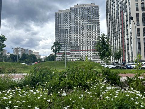 квартира за адресою Олександра Олеся вул., 8/17