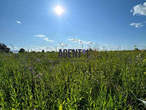 ділянка за адресою Лісова