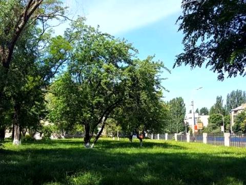 квартира за адресою Шалімова, 23