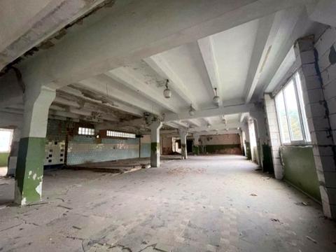 комерційна за адресою Дениса Лукіяновича вул., 8