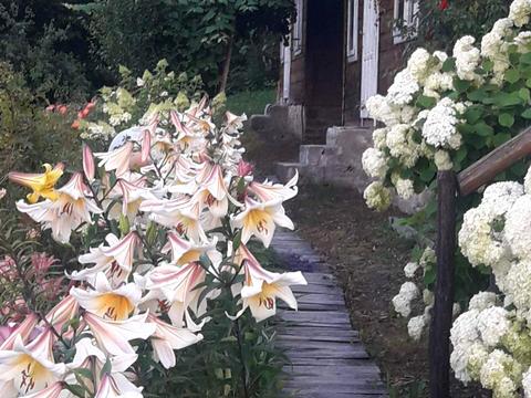 дом по адресу с. Текучее, Гнилиця