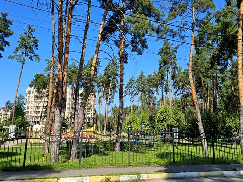 коммерческая по адресу Пушкинская ул., 15