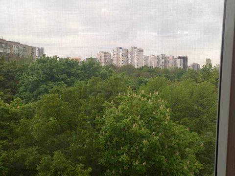 квартира по адресу Новгородская ул. (Новгородская), 2