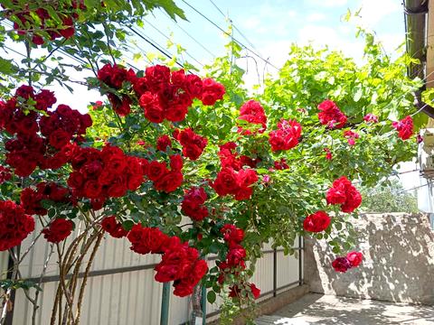 будинок за адресою Лесі Українки вул., 72