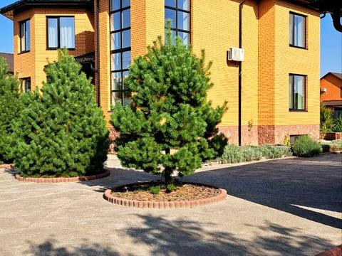 будинок за адресою Єдності