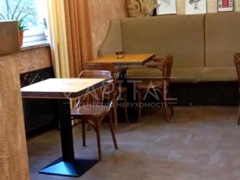 комерційна за адресою Раїси Окіпної вул., 10-А