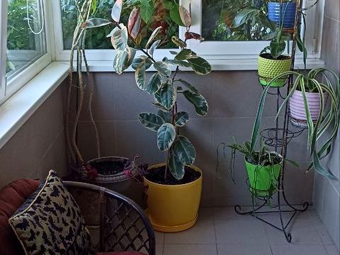 квартира за адресою Богдана Хмельницького вул., 4