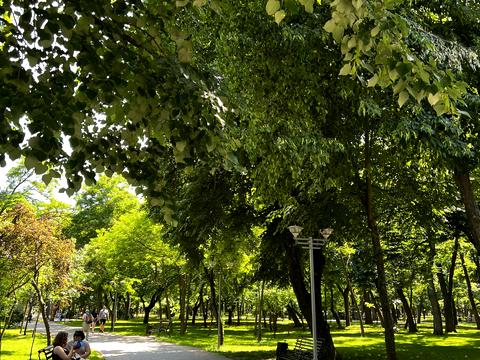 квартира за адресою Одеса, Академіка Філатова вул., 23б/1