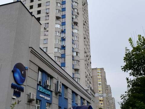 комерційна за адресою Дмитра Чижевського вул. (Петра Чаадаєва), 2