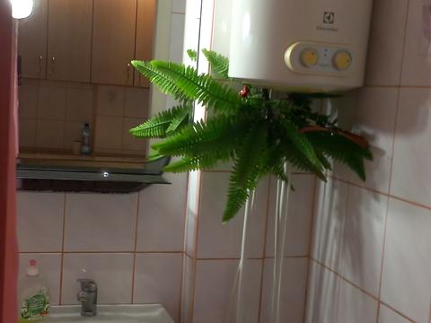 квартира за адресою Крз, 9