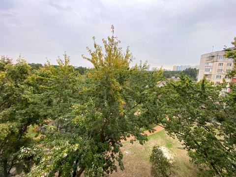 квартира за адресою Остафія Дашкевича вул. (Курнатовського), 2-А