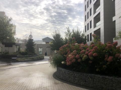квартира по адресу Берестейский просп. (Победы), 42а